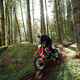 Illustration for article titled Honda Just Announced A Street-Legal 450cc Dirt Bike And The Whole World Should Rejoice